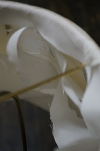 Close up of shade
