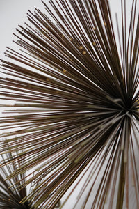 A lovely sea urchin wall sculpture by C. Jeré (Curtis Jere Artisan House) . Signed and dated 1979.  Chicago, IL Studio Sonja Milan