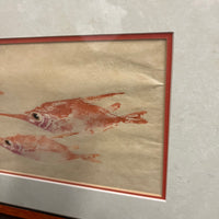Gyotaku Print of Snipefish by Heather Fortner