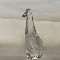 Hoya Crystal Giraffe