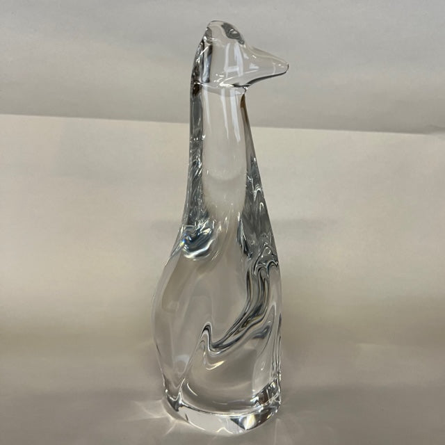 Hoya Crystal Giraffe