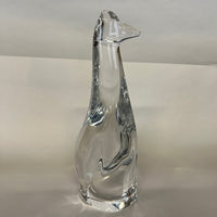 Hoya Crystal Giraffe