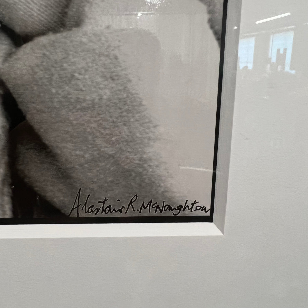 Framed Alastair McNaughton Photo - Aboriginal Series, Wombat