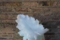 Alabaster Leaf Form Dish/Tray