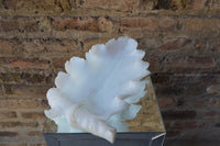 Alabaster Leaf Form Dish/Tray